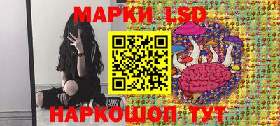 эйфоретик Славгород