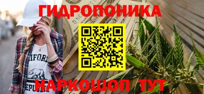 твердый Сланцы