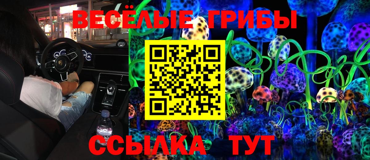 Псилоцибиновые грибы GOLDEN TEACHER Сосновоборск