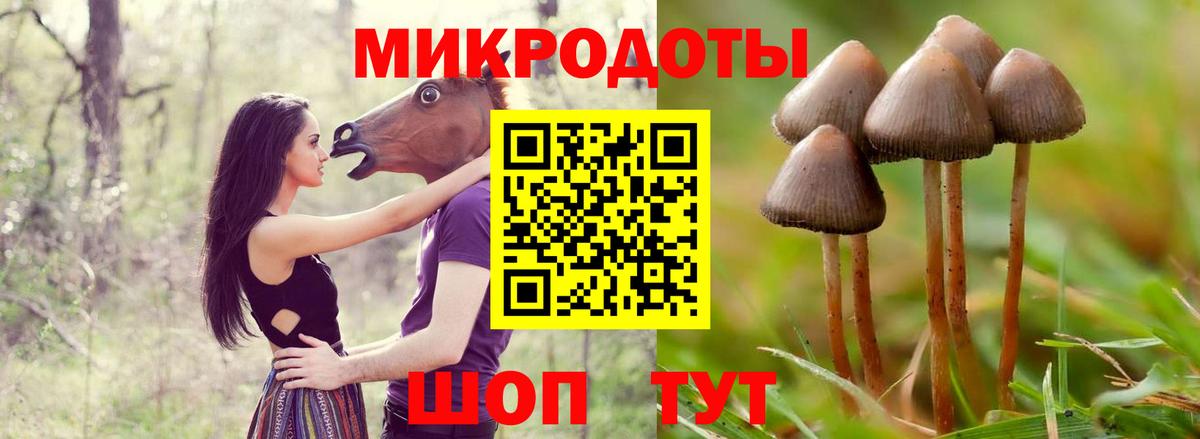 Галлюциногенные грибы мухоморы  Галлюциногенные грибы GOLDEN TEACHER  Вход с VPN  Сосновоборск 